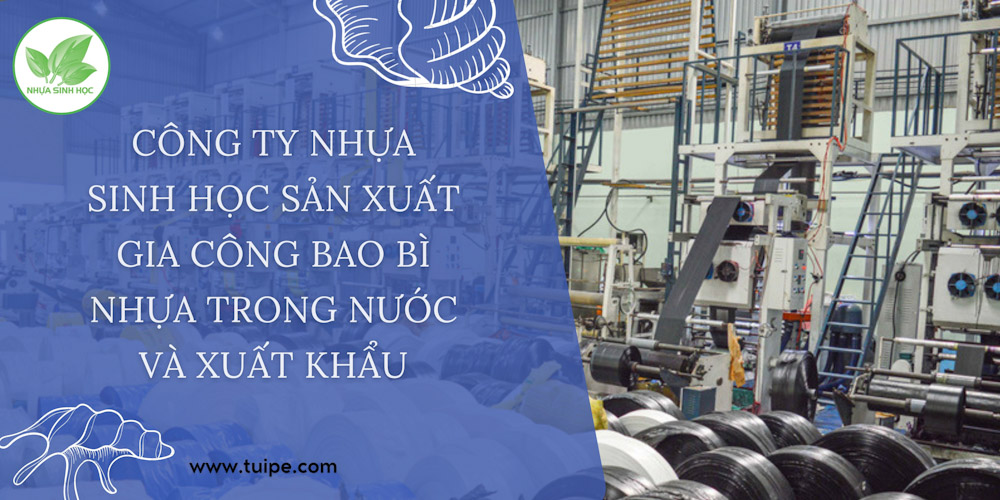 công ty sản xuất bao bì nhựa
