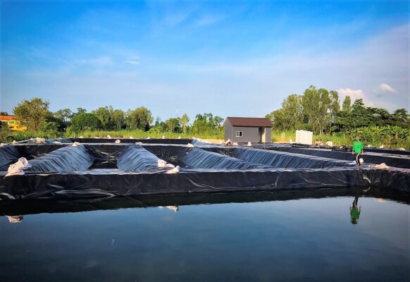 Bạt lót hồ nuôi tôm