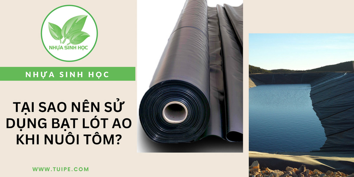 Tại sao nên sử dụng bạt lót ao khi nuôi tôm